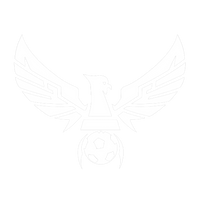 Icarus Athlete